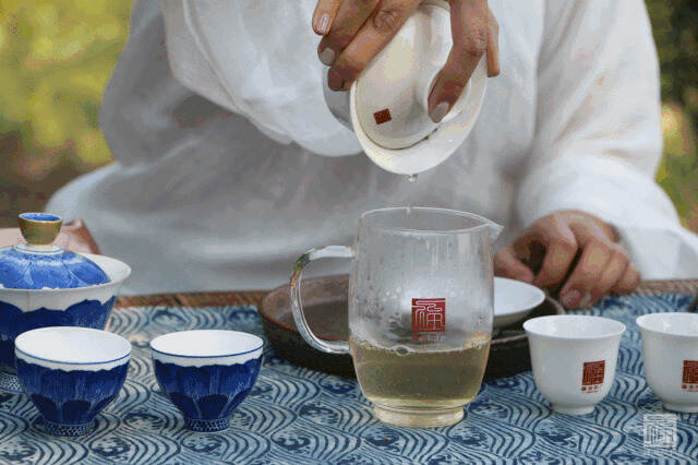 福海讲堂 | 你为什么爱春茶！