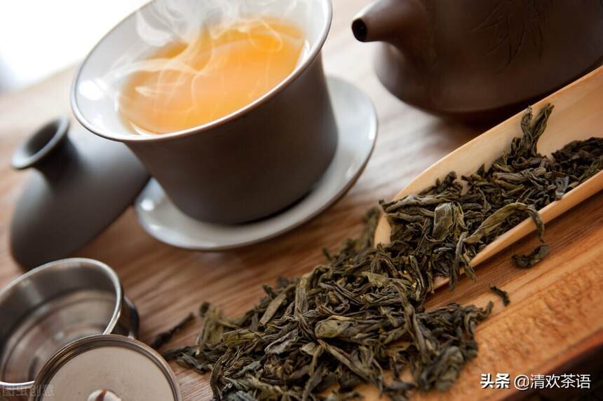 普洱茶生茶和熟茶哪个更好？更适合你？