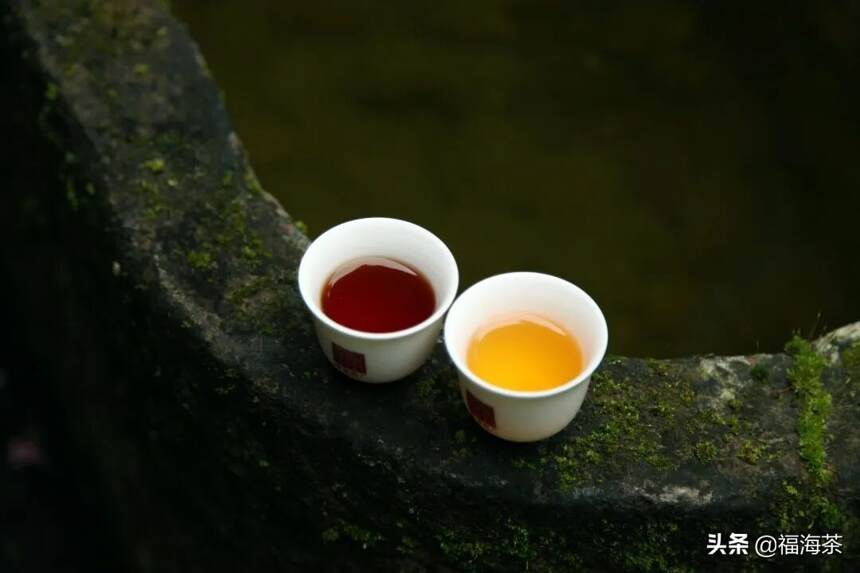 福海讲堂 | 茶与健康之饮茶的益处