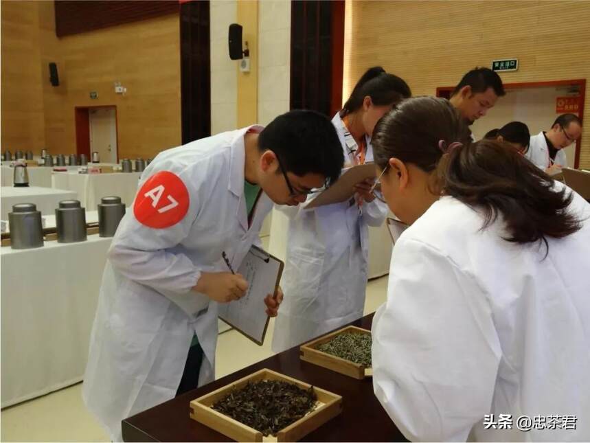 云南中茶协办省第十六届职工职业技能大赛茶业茶艺师、评茶员决赛