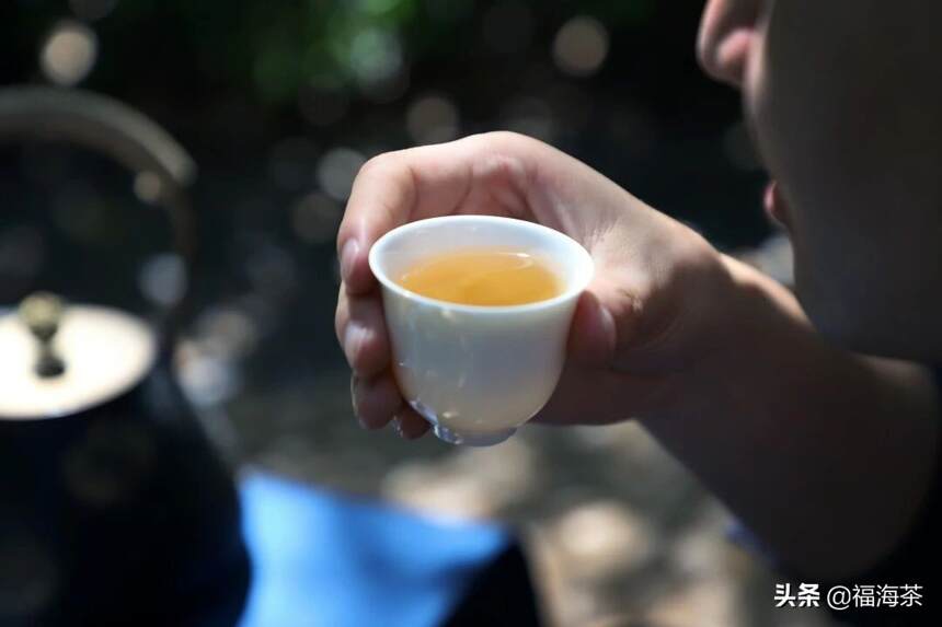 福海讲堂 | 普洱茶的苦与涩