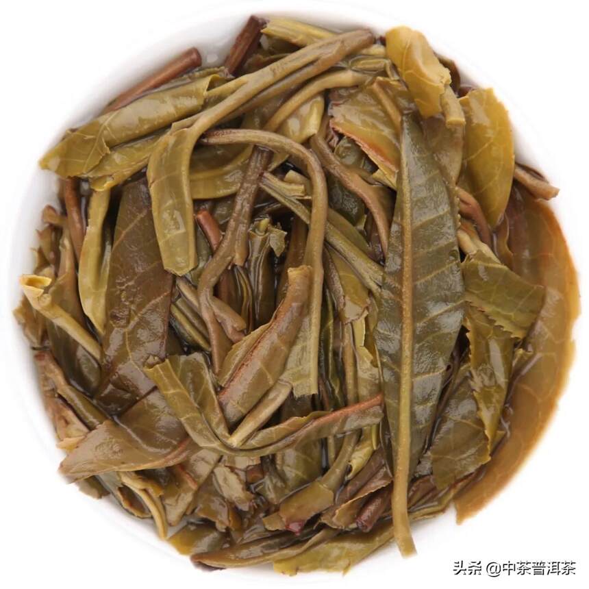 中茶新品 | 2021年中茶薄荷塘普洱茶（生茶）