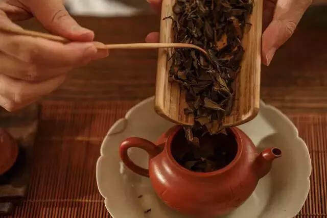 不同的年份，白茶的香气有什么变化呢？