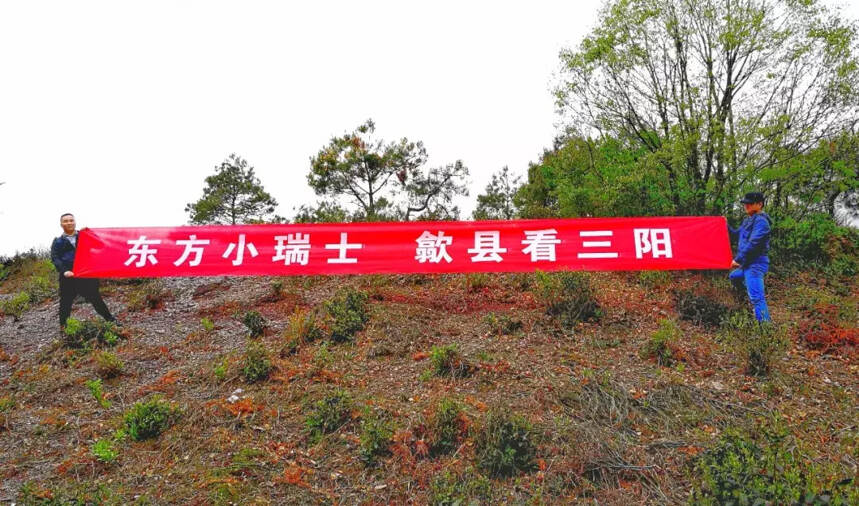 茶旅融合，歙县三阳镇举办旅游与大方茶发展研讨会