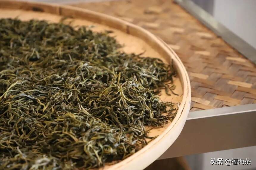 大郭说茶丨113.晒青毛茶和绿茶的区别