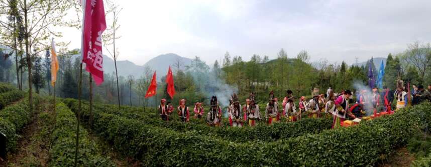 北川第七届中国羌茶节即将开幕，川茶名镇擂鼓镇等您寻山问茶