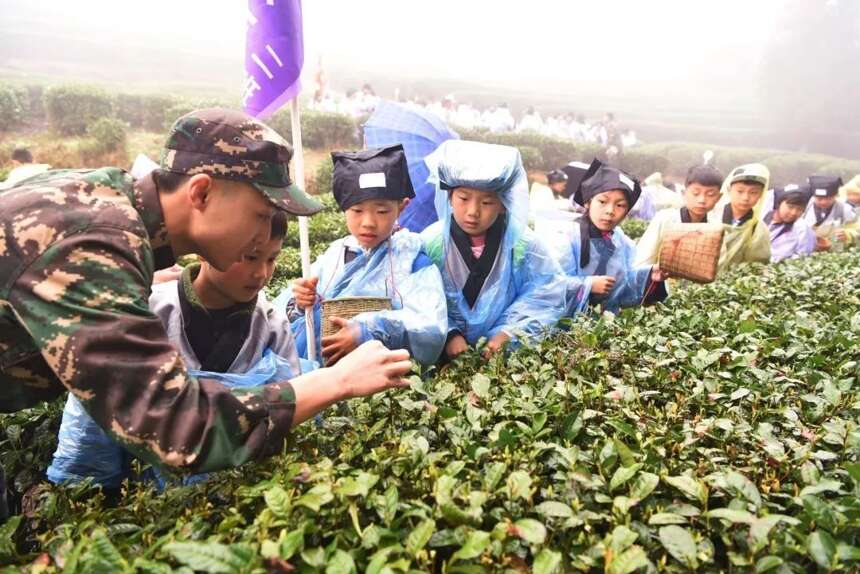 茶旅世界 | 500多名小朋友齐聚蒙顶山，到底干个啥？
