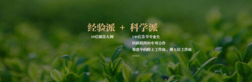 小罐茶杜国楹：把中国茶从意外的发现转变成主动的设计