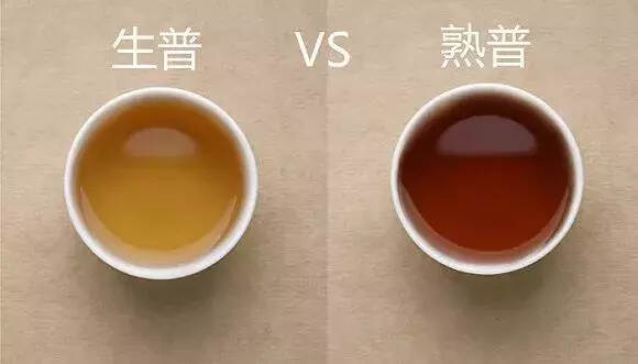 宽和习茶｜生普vs熟普