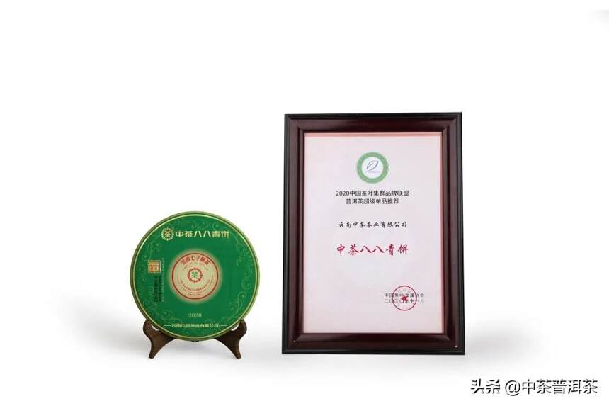 中茶八八青饼荣膺2020年中国茶叶集群品牌联盟普洱茶超级单品