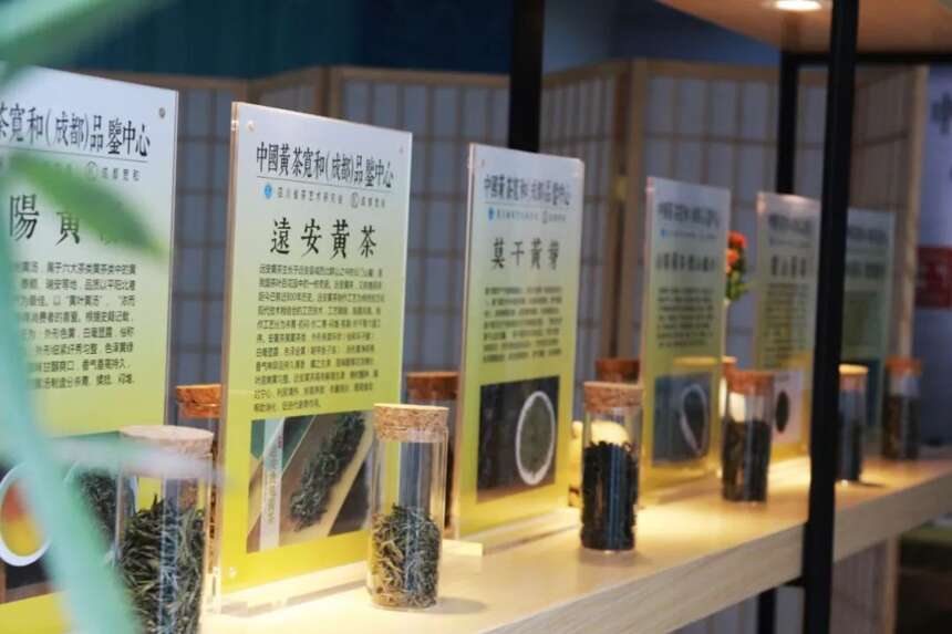 2019中国黄茶（成都）品鉴会第二期今日在成都宽和举行