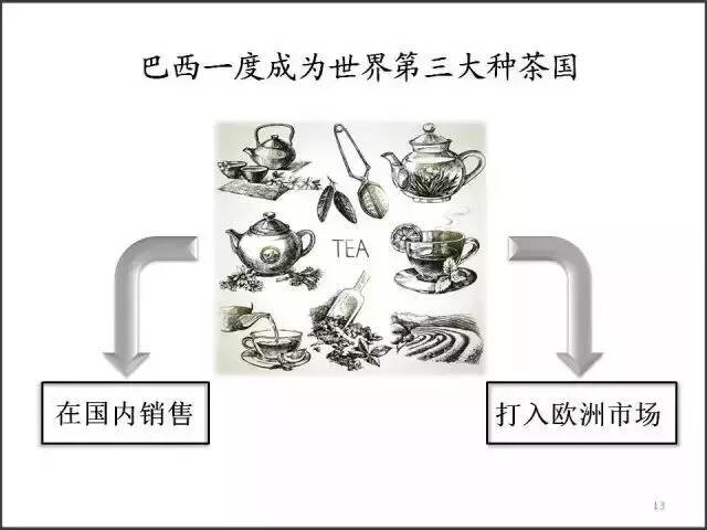 大事件 || 中国茶与巴西梦