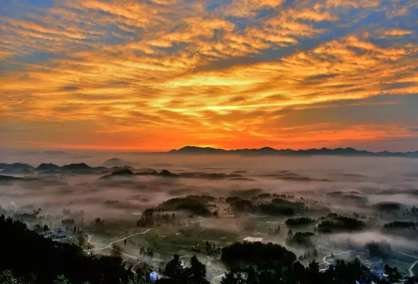贵州凤冈—知青茶山-长碛古寨-茶海之心景区一日游