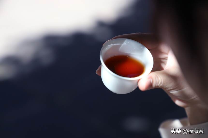 福海讲堂：为什么那么多人喜欢老茶头