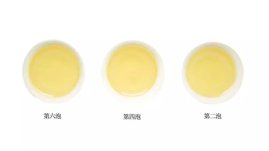 习茶：白芽奇兰