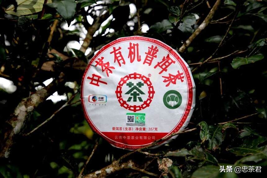 喜报 | 中茶云南公司荣获2019年昆明市绿色食品“10强企业”称号
