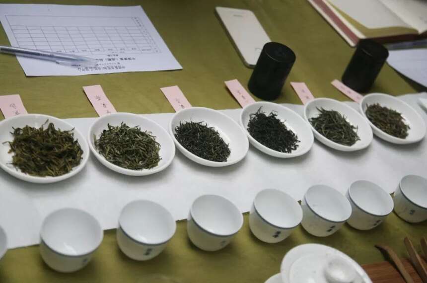 中国黄茶品鉴会 | 在宽和品黄茶，在茶香中感悟人生美好韵味