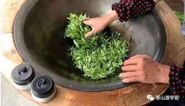 好茶是怎样炼成的？草木行制茶班，八月启航，到茶山“动真格的”