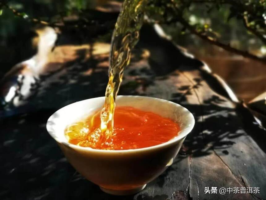 茶友评测 | 2020中茶号级红标生茶：高贵典藏，吉亨之象