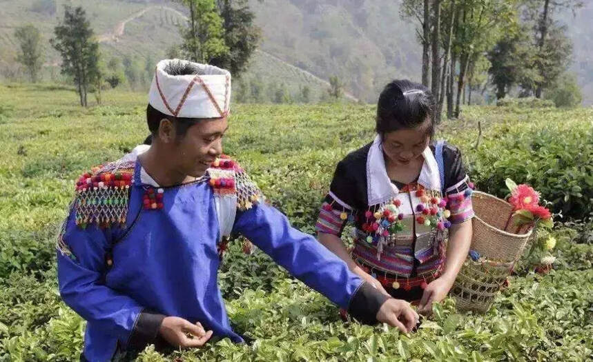 “德昂族酸茶”改变了一方村民的命运