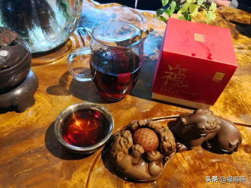 【今日关注】福果·陈年老茶头微品会，给您开春一口甜茶~