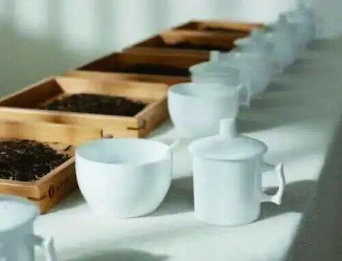 2020中国茶叶博物馆标准茶样征集活动启动啦
