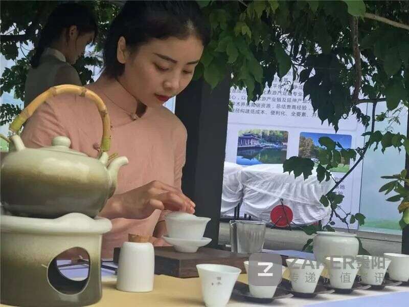 贵州旅游协会茶旅分会成立：打造茶旅经济链