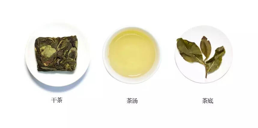 习茶：漳平水仙
