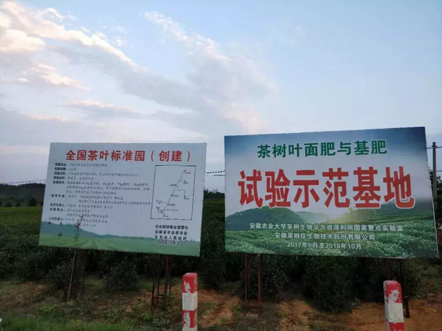 春来访茶香丨记安徽省东至茶树良种繁殖示范场