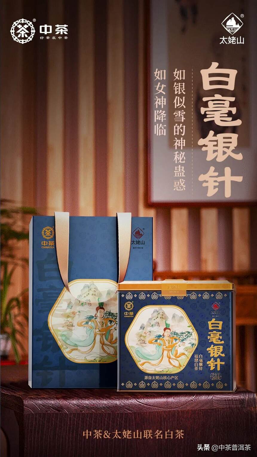2022中茶&太姥山联名新产品—六年白毫银针