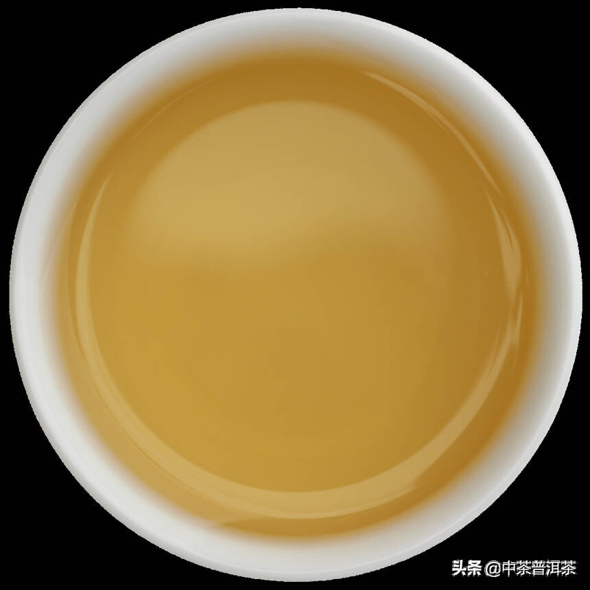 中茶新品 | 2021中茶易武 普洱茶（生茶）紧压茶