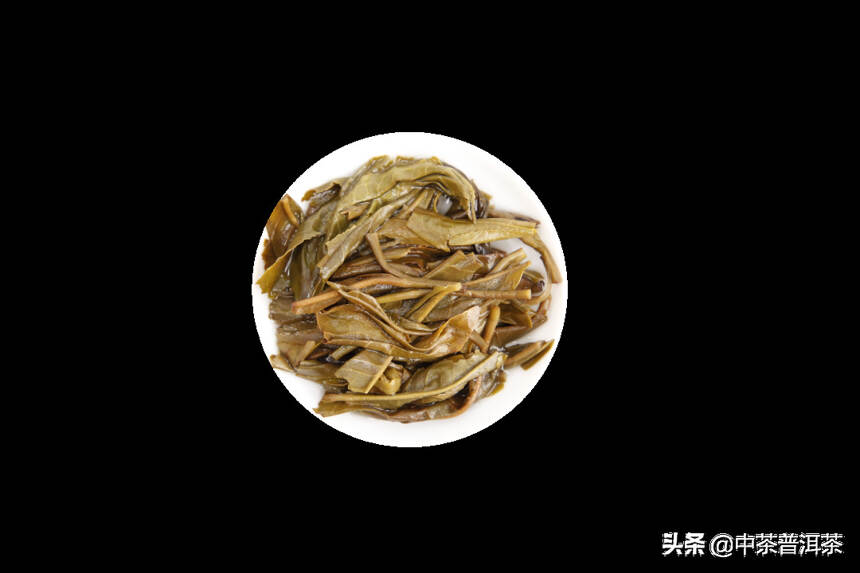 中茶新品 | 2021中茶易武 普洱茶（生茶）紧压茶
