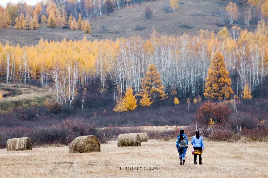 中国最“色”边境小城，一到秋天就美成童话