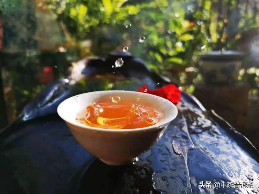 茶友评测 | 2020中茶号级红标生茶：高贵典藏，吉亨之象