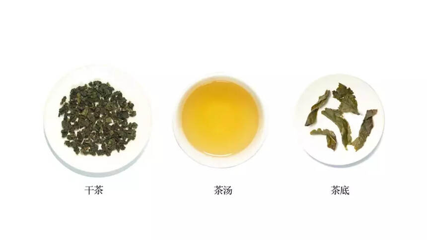 习茶：白芽奇兰