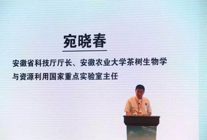 第二届中国当代茶文化发展论坛在杭州隆重召开