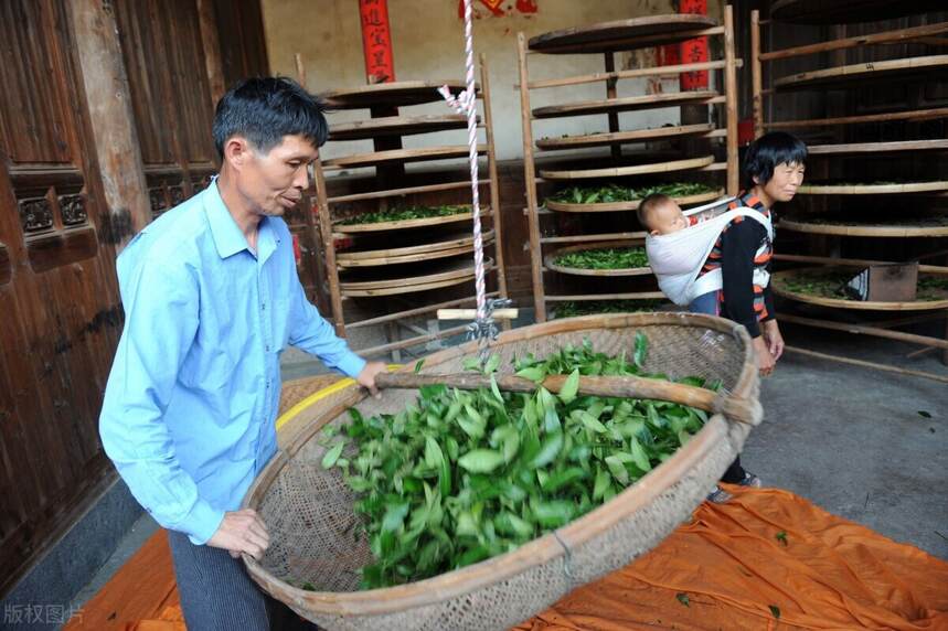 围观：2021中国茶叶区域公用品牌价值评估报告