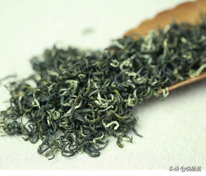 做一斤茶需要茶芽6-7万个，这样的碧螺春你有喝过吗？