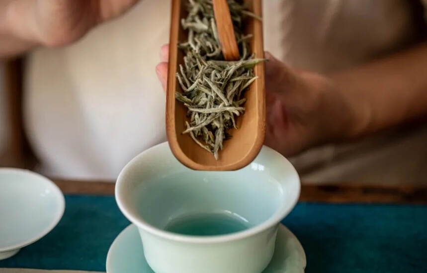 多年喝茶经验总结，白毫银针、白牡丹、寿眉，值得收藏么？