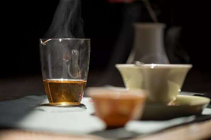荒野茶凭什么是最贵的白茶？因为比茶园茶好了不止一点...