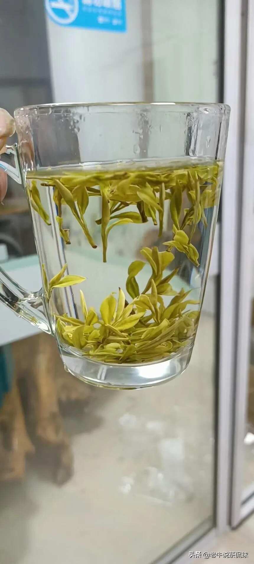 绿茶界天花板—鲜鲜甜安吉白茶，虎年的行情万般无奈