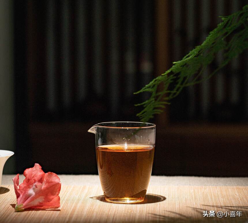 这份春节消食、解腻又减脂的健康喝茶攻略，请查收