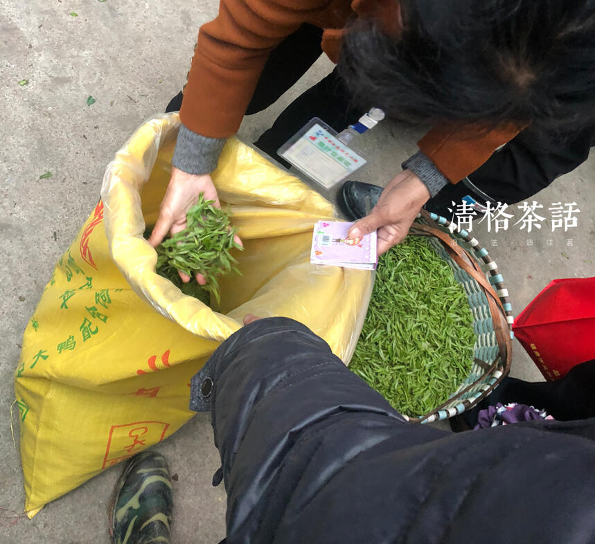 2019年福鼎白茶开茶节下攒动的茶人们