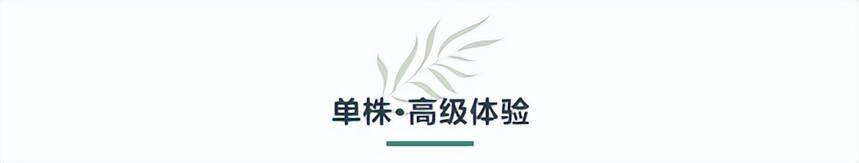 2022·小茶控单株开采日 预售开启