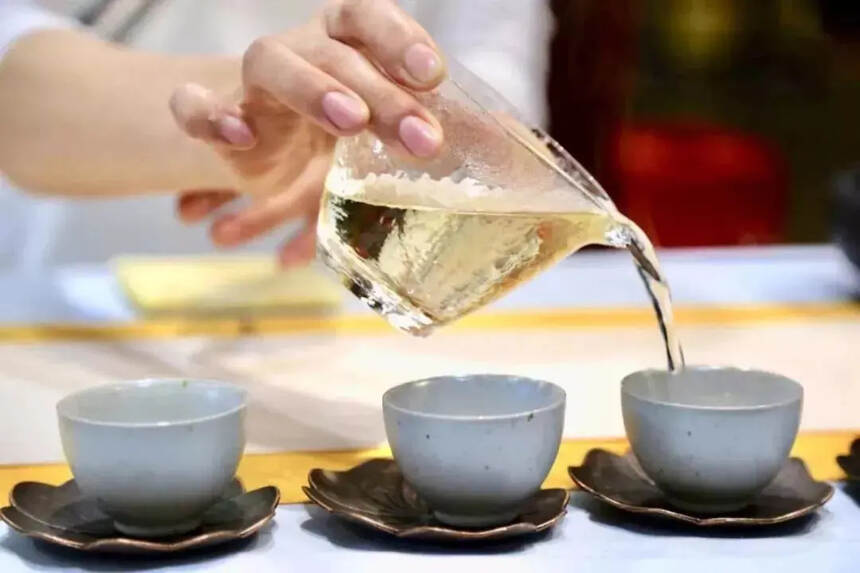 低价白茶后面藏着3个秘密：平地茶、劣质茶、外地茶