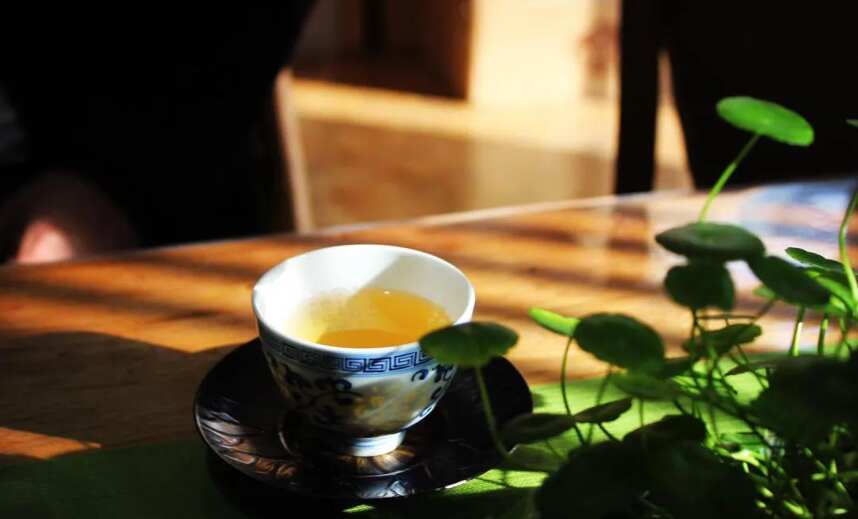白茶枣香：从何而来？中期茶与老白茶有何区别？
