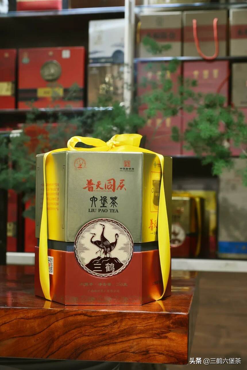 三鹤六堡茶（普天同庆）品鉴评测