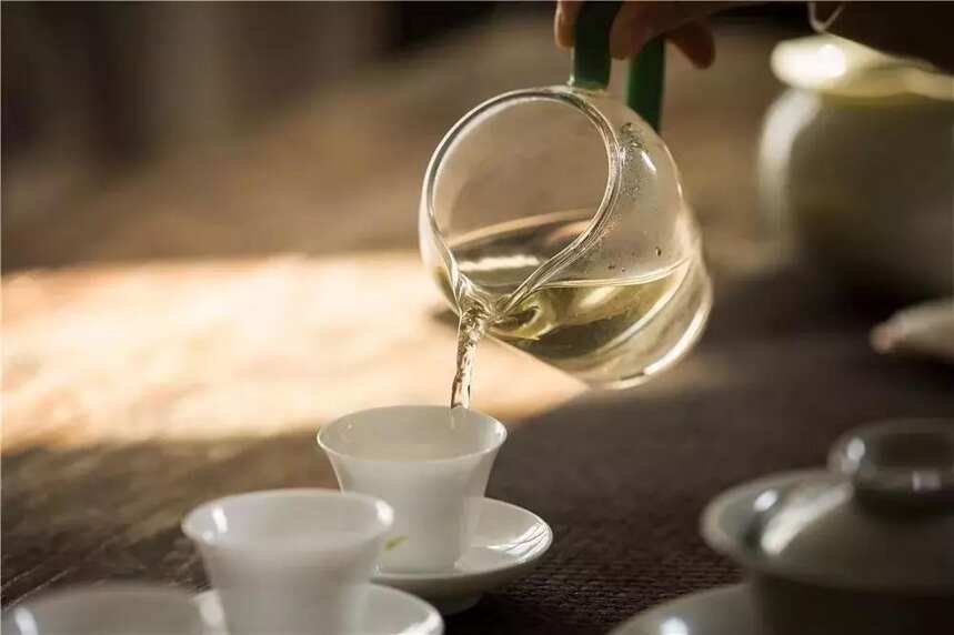 福鼎白茶丨陈化半年的白牡丹，在香气与汤水上，有哪些特别之处？