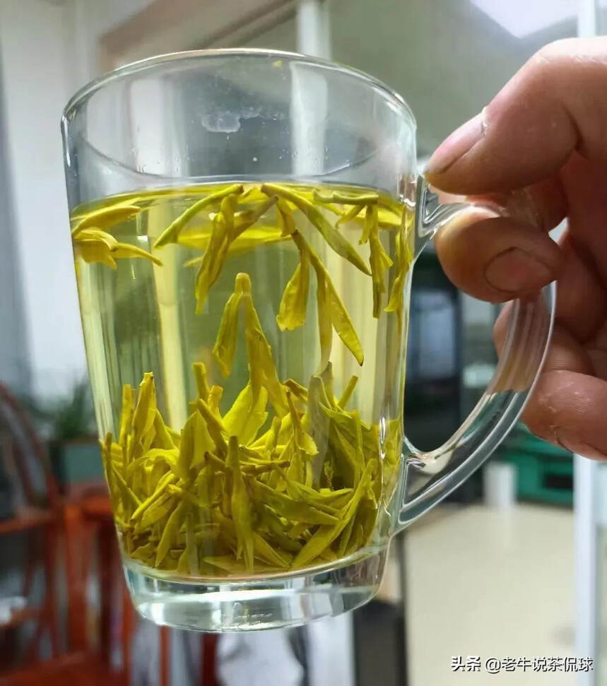 小小的龙井茶有这么多品种，知道的都是老茶客