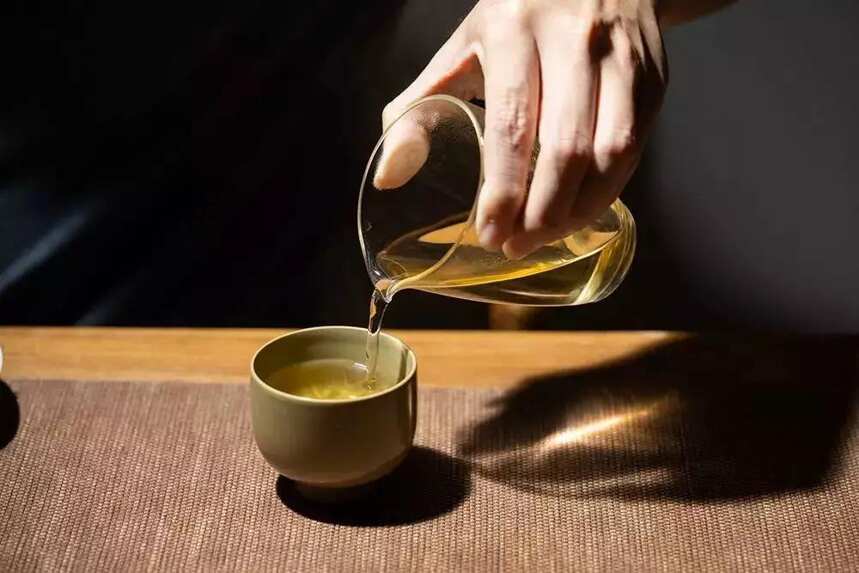 白茶圈谣言！新白茶不如老白茶，不适合喝，只适合收藏？